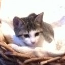 Barbara Cahill - @bcahill1661 - Twitter