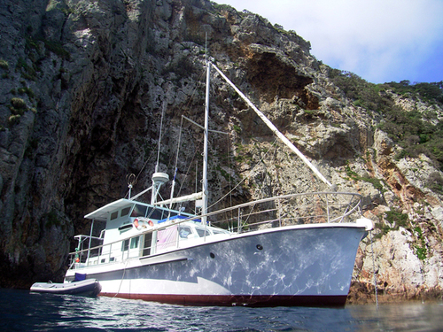 oceanblueNZ's profile picture. Dive the Poor Knights Islands on a Scuba Diving Liveaboard from Tutukaka