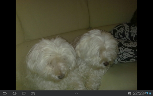 IgorKooskoos1's profile picture. 