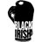 BlackIrishBooks's profile image