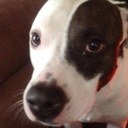 243543647 - @john_koonce - Twitter