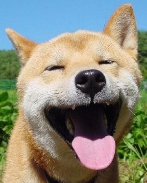 こちらのアカウントは現在使われておりません。