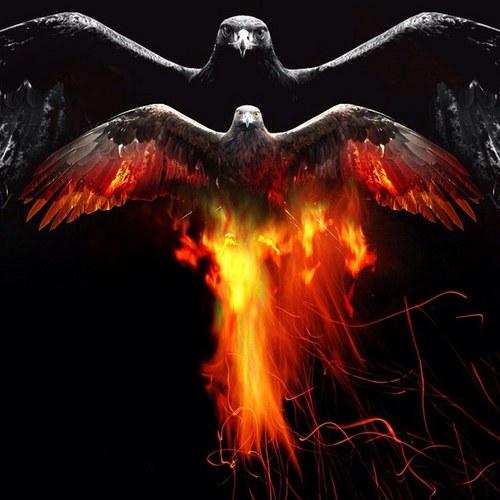 wseevents's profile picture. http://t.co/YS7fe0a6 eVent Brander (Event Planner)