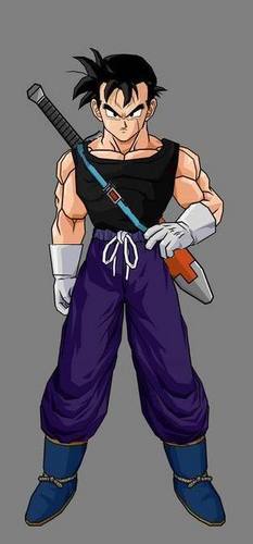 i am gohan from the future,i will protect the world at all cost.