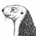 David N. Blank-Edelman (@otterbook) Twitter profile photo David N. Blank-Edelman (@otterbook) Twitter profile photo