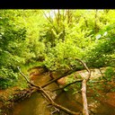 Wade Bowen - @BowenWade - Twitter