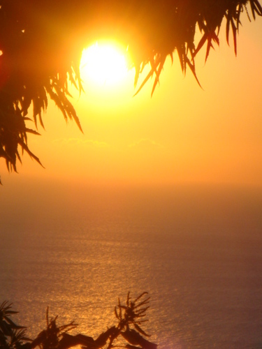 PokerFa66365719's profile picture. 