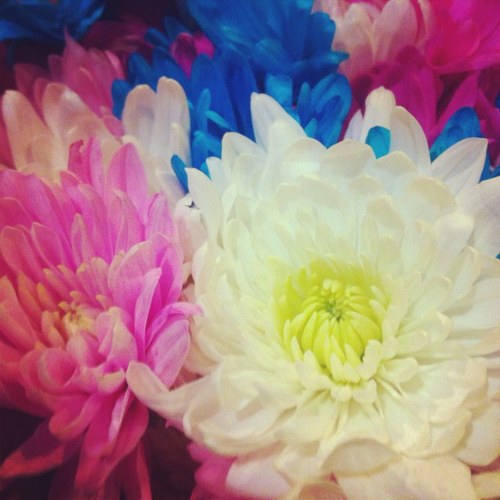 emmaalee's profile picture. i read books and eat way too much candy. watch all of the good tv shows. have always loved the twilight saga. major nerd. love new followers