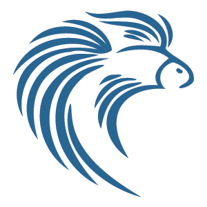 Check out our betta fish forums, articles, and more!