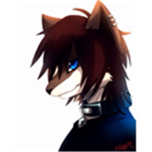 I'm a wolf and I do math.