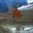 Marilyn_thefish's profile image