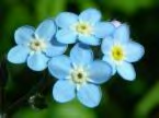 For help and support on the loss of a baby, be it your own or coping with the loss of someone else's, join us at the Forget Me Not Suite