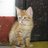 ElGatoMoe's profile image