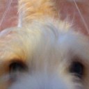 rob macaulay - @robert_macaulay - Twitter