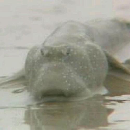 KobeIaido's profile picture. 神戸大学居合道部です。稽古や大会、新歓の情報などをつぶやく予定です。