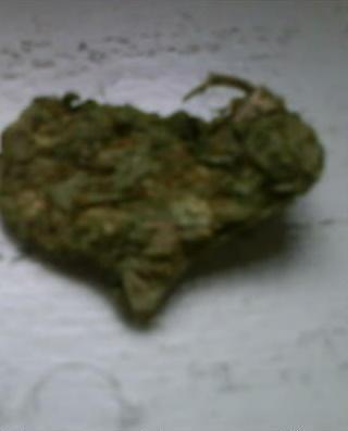 Maryjane_Lights's profile picture. 