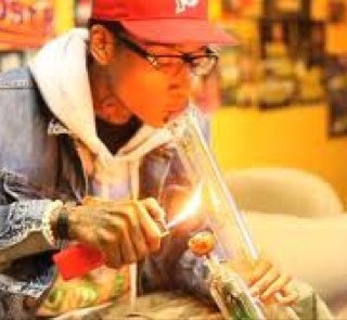 bitchimavet's profile picture. 