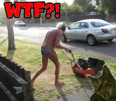 WTFFlorida's profile picture. @WTFFlorida brings you various aspects of Florida that will make you want to nod your head and sigh, WTF!?