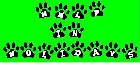 helpinholidays's profile picture. Free advisory on dos & donts, what to do, planning, budget, savings and more for Domestic and International Travel