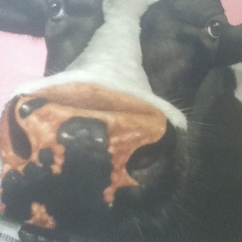 uk_jules's profile picture. 