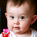 i am a student...........