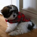 Julie Read - @JulieeRead - Twitter