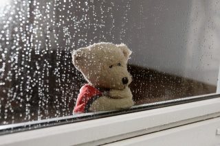 Choltic75539612's profile picture. 