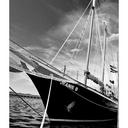 Aaron Eriksson - @NikonProShot - Twitter