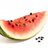 Watermelon_pipz's profile image