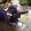 angela wild - @wildangela8 - Twitter