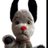 shelliegranger's profile image