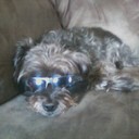 Tara Pena - @T9r9 - Twitter