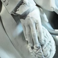 Jan Fabre (@angelosjanfabre) 's Twitter Profile