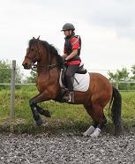 Ghyanne1925's profile picture. Loving Horses, Dogs... LOTR/The Hobbit, Star Wars, Spartacus, Gotham, Supernatural... @officialblue and photography