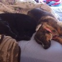 Jeff pierson - @Sevengedfold - Twitter