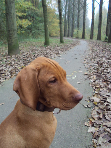 kyaartje888's profile picture. kleine zus van @kussmeagan