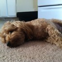 Chris Eakin - @freakineakin1 - Twitter