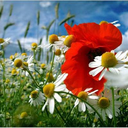 Gillian Carter - @SusanLofthus - Twitter