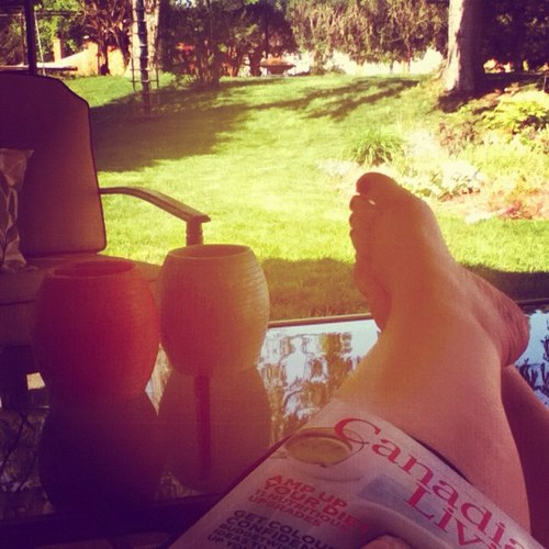 nickycourtis's profile picture. 