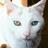 TiaPusscat's profile image
