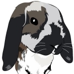 chigira_suny's profile picture. 東京の夜間柔道整復師の専門学生です。昼間はドラッグストアでバイトをしています。２年前に四国一周お遍路の旅に行きました。新婚旅行でフランスに行って来ました。式はハワイする予定です。時間を作っていろいろな所をまわって、いろんな文化をみたいです。