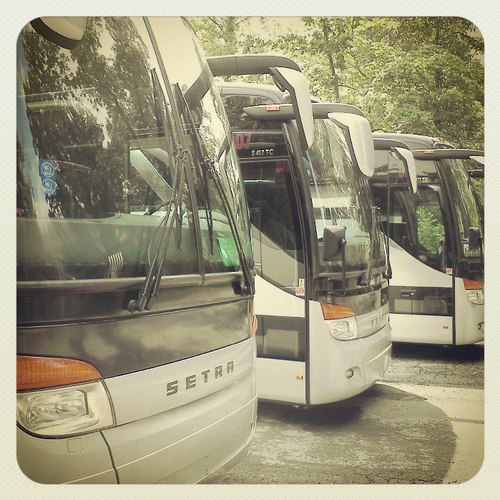 ASLSExpress's profile picture. ASLS Express has designed these express runs with the customer in mind.