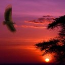 Mark Coombes - @LTBL_Electrical - Twitter