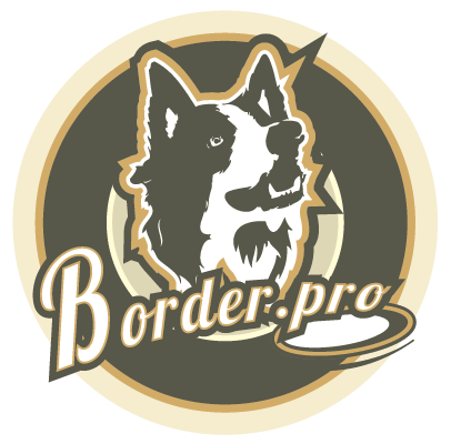 If it's not a border collie then it's just a dog. Join the community of fanatics of the best dog breed in the world!Share your story & find a friend for a walk!