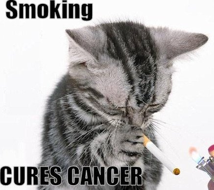 samsulgabot's profile picture. 