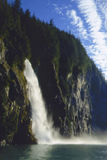 AmiganteJose's profile picture. 