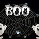 Eva Barlow - @EBarlow81 - Twitter