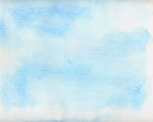 sophest's profile picture. 