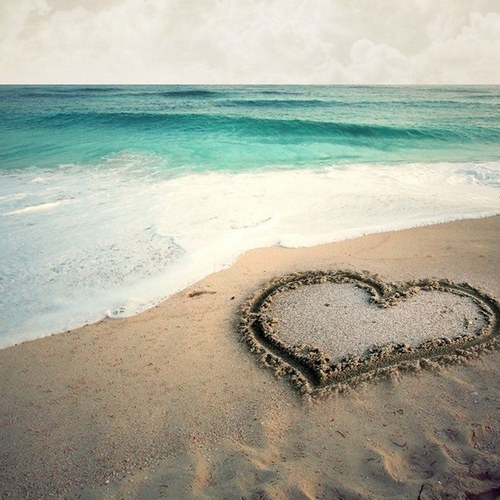 AEri_0808's profile picture. 