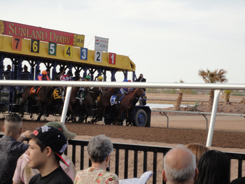 TurfSpeculator's profile picture. 